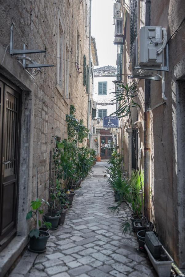 Sasha Di - Old Town Lux